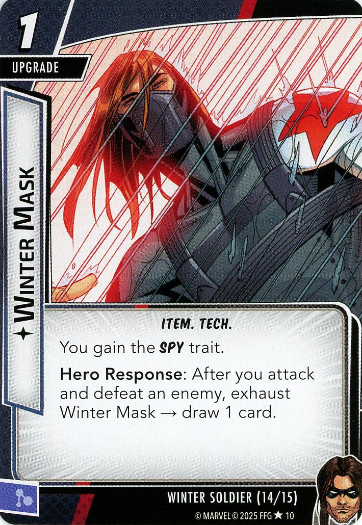 Winter Mask